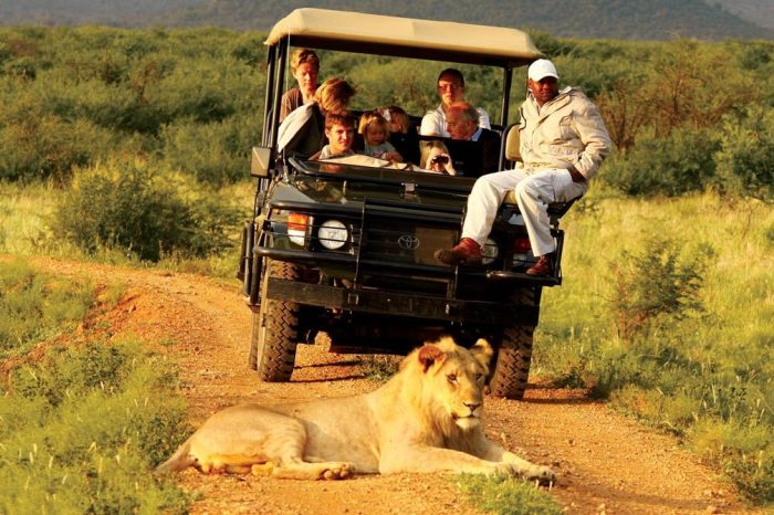 Family Safaris in Uganda