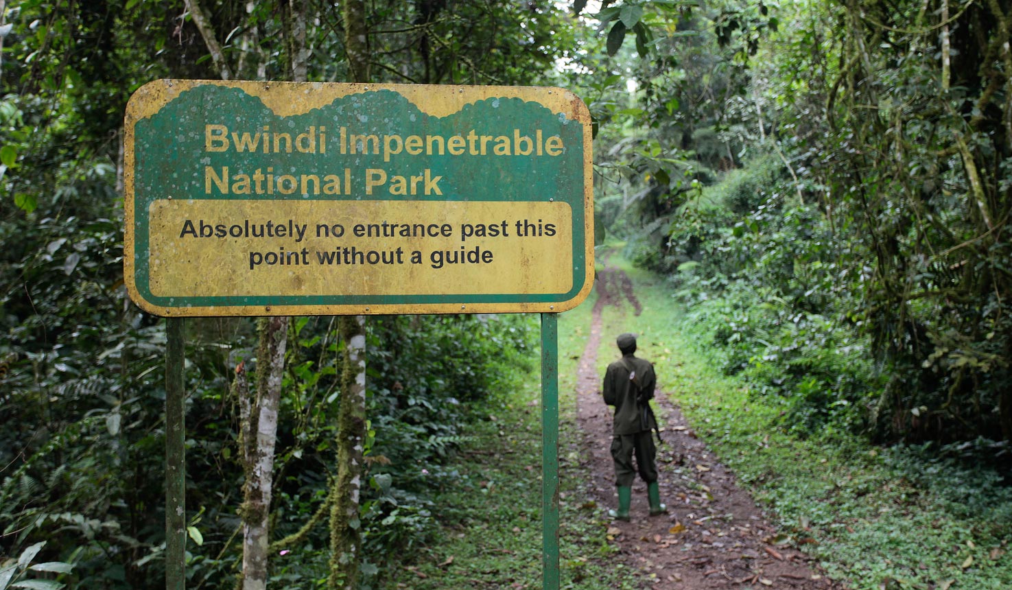 Bwindi impenetrable national park
