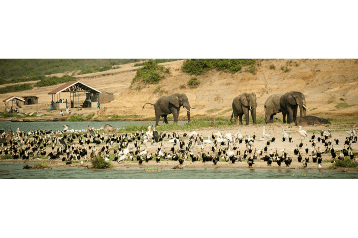 3 Days queen Elizabeth National Park Uganda Safari Holiday